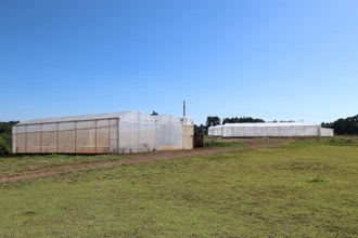 07122023 Pesquisa sobre alimentação de tilápias é contemplada com recursos do Inova Agro