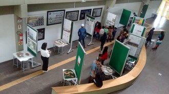 visita kaingang