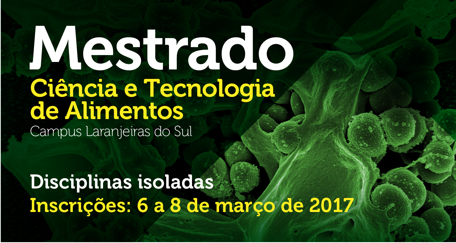 01-03-2017 - Mestrado.png