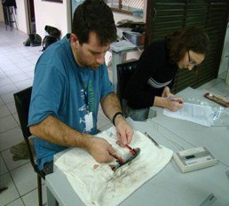04-04-2013 - Pesquisa premiada.jpg