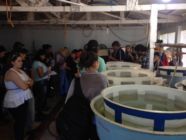 07-11-2013 - Visita técnica2.jpg