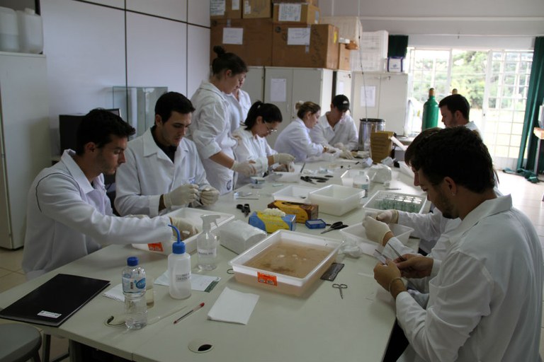 09-05-2014 - Treinamento.jpg