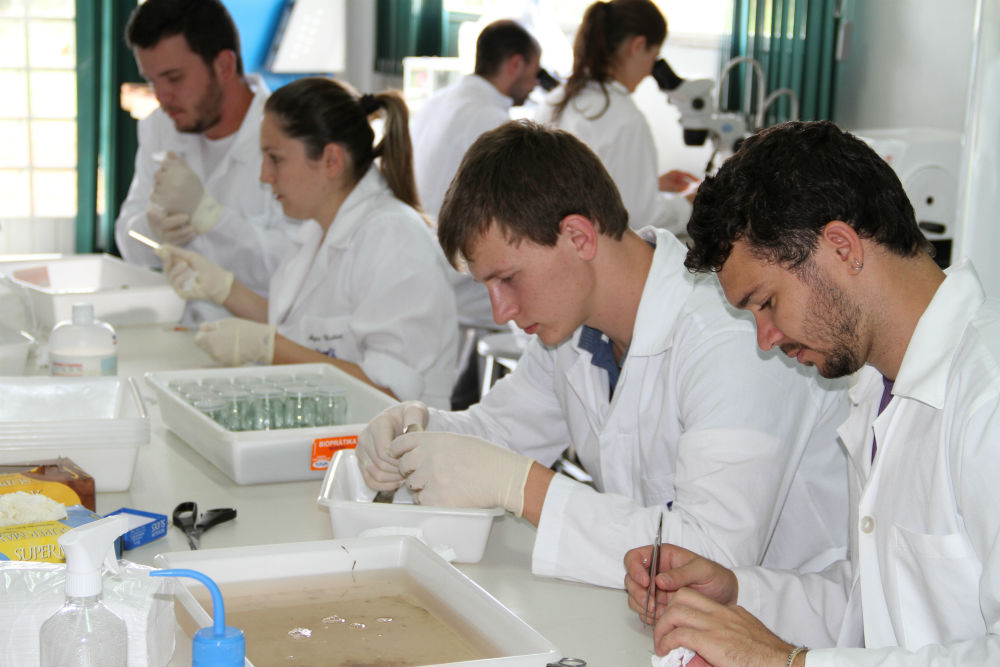 09-05-2014 - Treinamento2.jpg