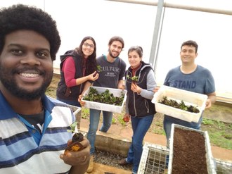 Foto mostra um grupo de pessoas posando para foto dentro de uma estufa. As pessoas seguram mudas de morangueiro nas mãos.