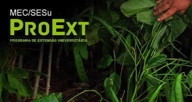 16-07-2013 - Proext.jpg