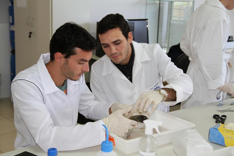 17-04-2015 - Engenharia.jpg