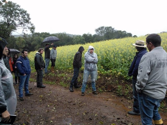 25-07-2013 - Atividade de campo.jpg