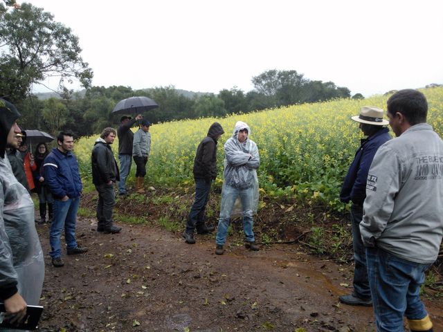 25-07-2013 - Atividade de campo.jpg