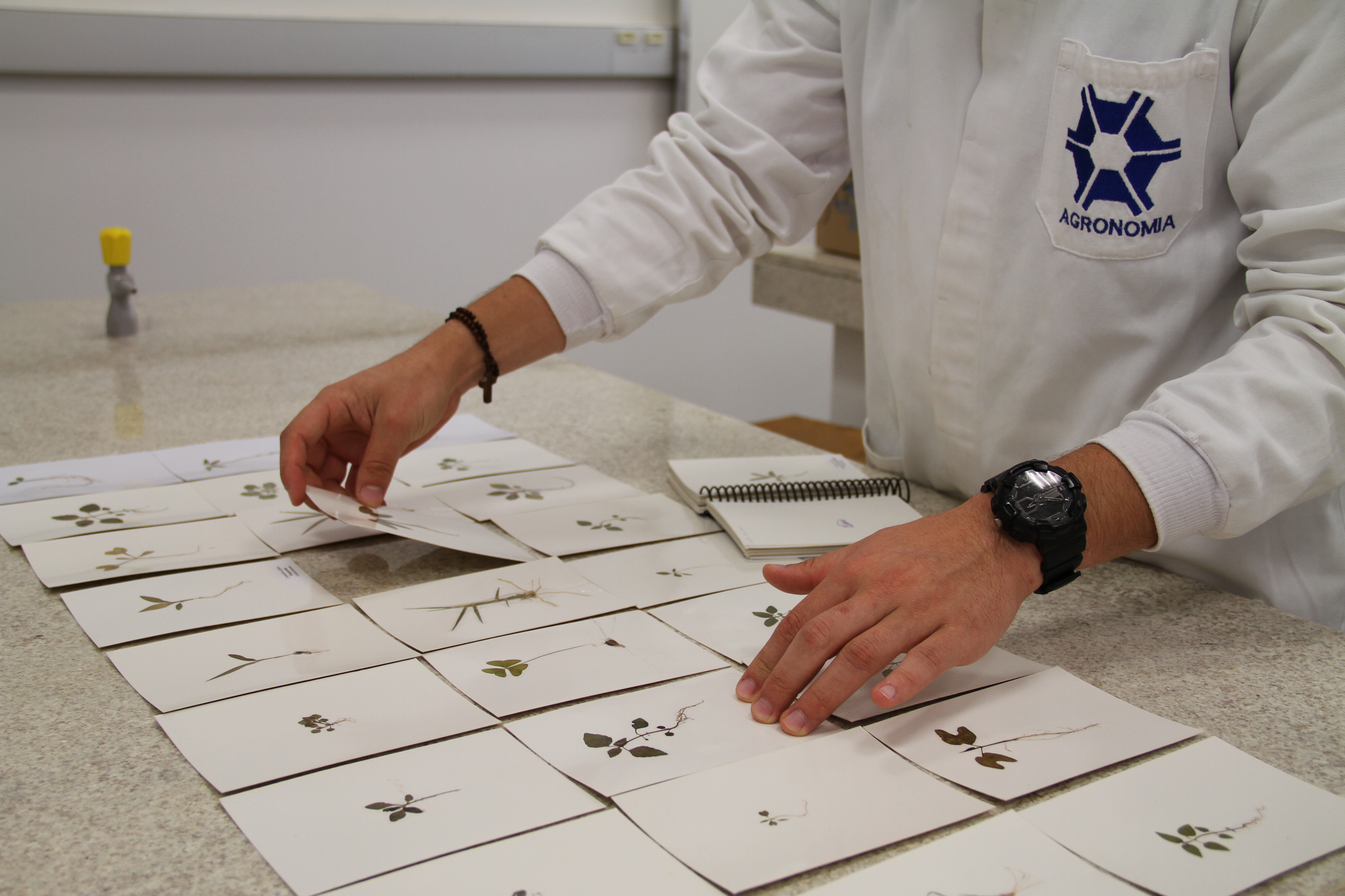 27092017 - Laboratório Ciência Plantas espontâneas (7).JPG