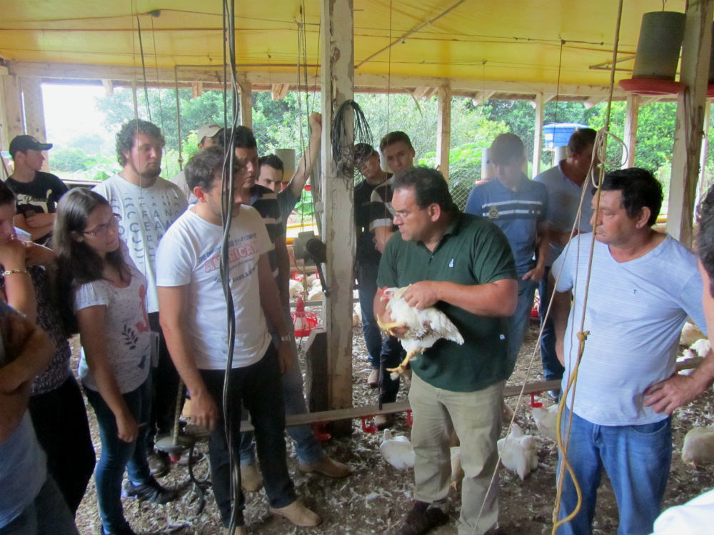 29-01-2014 - Abatedouro.jpg