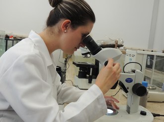 Estudante observa lâmina utilizando microscópio.
