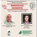 06082020 - Biologando 9