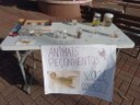 07072022 - Pesquisa envolve a participação de pessoas residentes no município de Realeza, com idades entre 18 e 60 anos