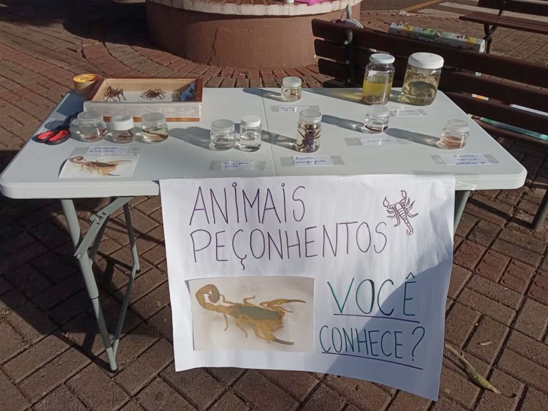 07072022 - Pesquisa envolve a participação de pessoas residentes no município de Realeza, com idades entre 18 e 60 anos