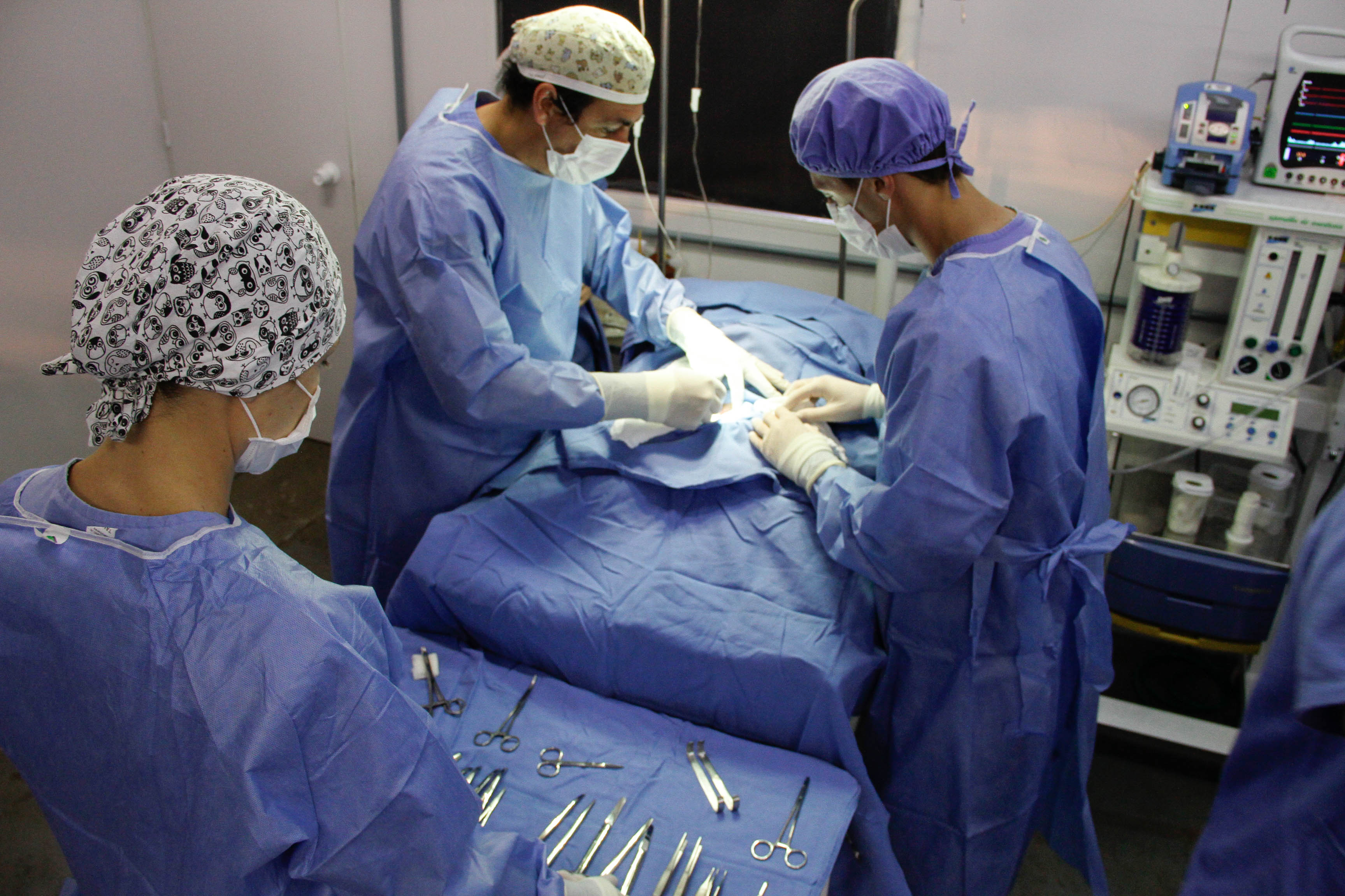 10112016 - MedVet - Semana Acadêmica - Ariel Tavares (140)-2.jpg