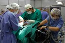 24042015_-_MedVet_-_Cirurgia_de_animais_-_Crdito_Ariel_Tavares_280.jpg