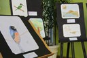 25082022 - As obras apresentam a fauna e a flora encontradas no estado do Paraná