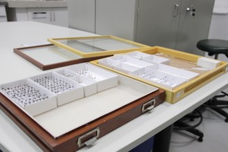 Gavetas entomológicas cheias de insentos