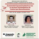 29102020 - RE - Palestra Biologando insetos aquáticos