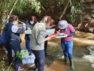 Pessoas a beira de um riacho fazendo análise química, física e biológica da água.
