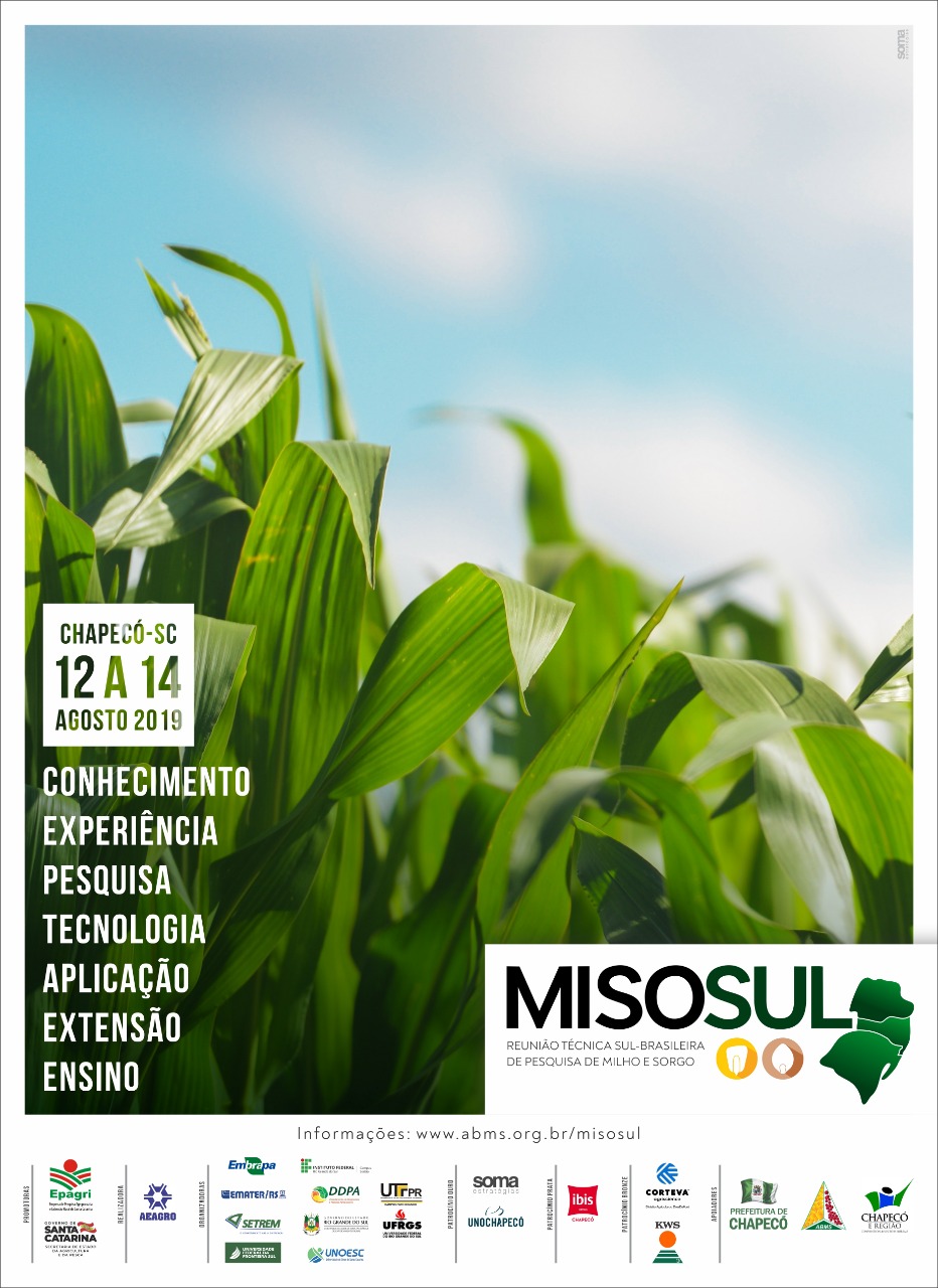 Cartaz com informações sobre o evento Misosul