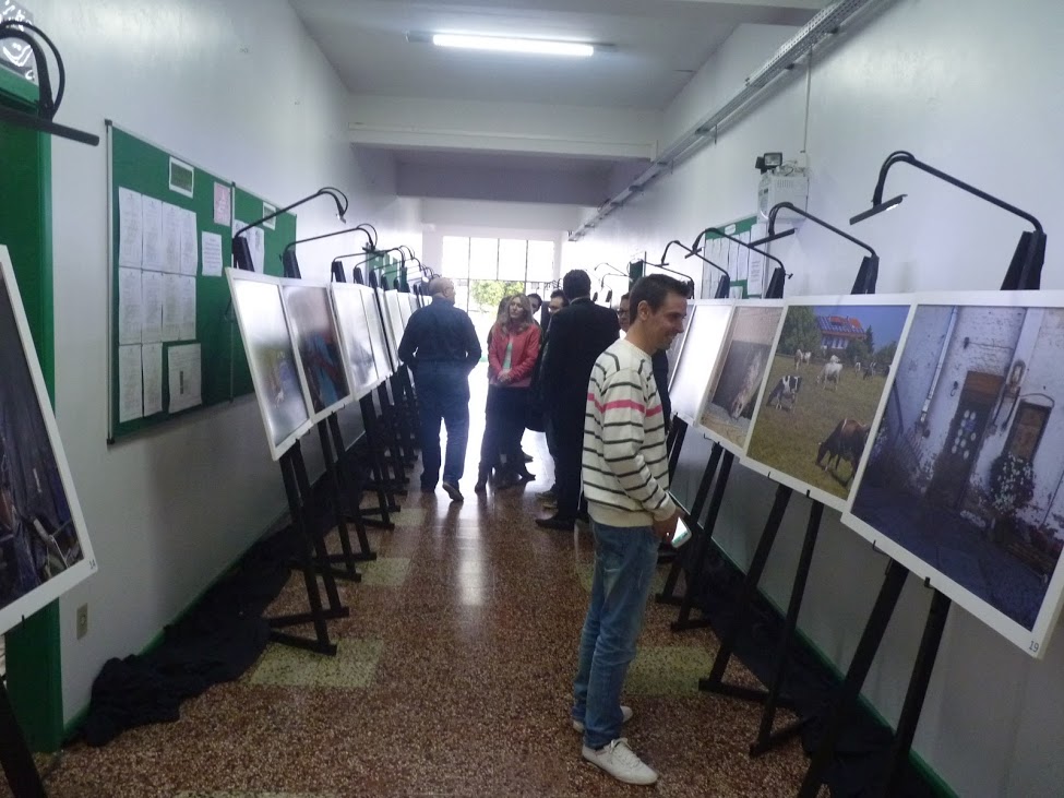 06-05-2016 -Exposição 2.jpg