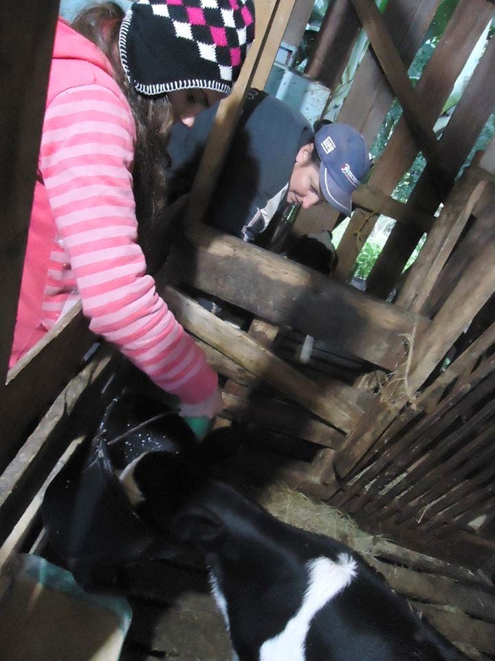 27-08-2014 - Projeto2.jpg