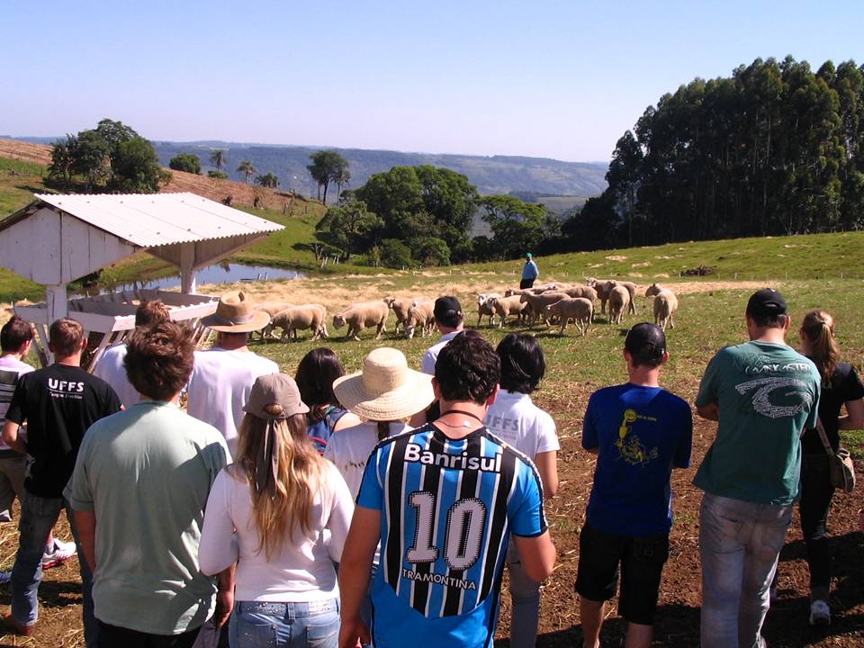 28-11-2011 - Minicursos.jpg