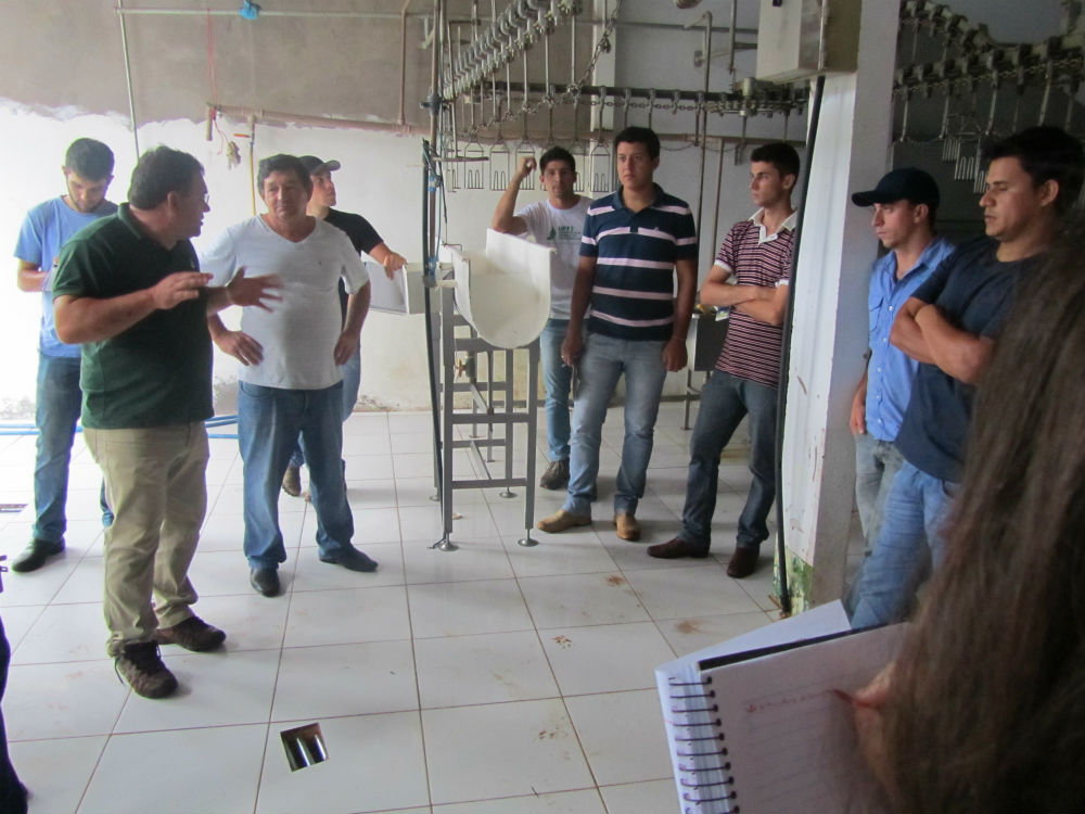 29-01-2014 - Abatedouro3.jpg