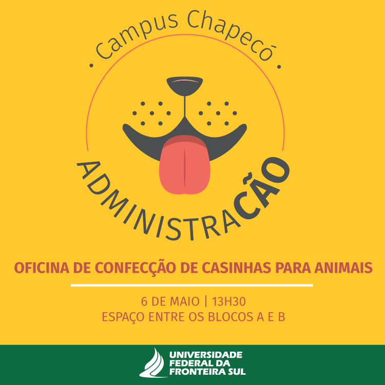 Oficina para construção de casinhas para animais