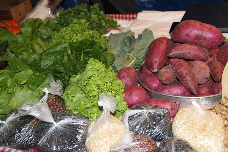 agroecologia e economia solidária foto1