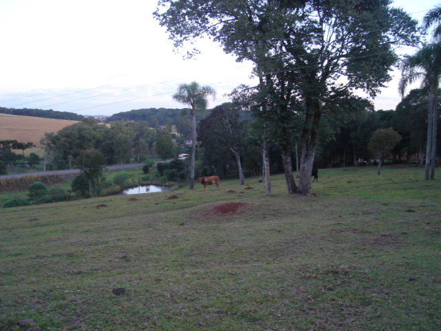 19-10-2009 - Terreno Erechim.jpg