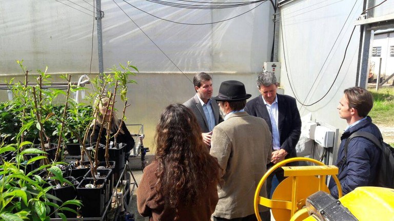 áreas_experimentais_UFFS3.jpg