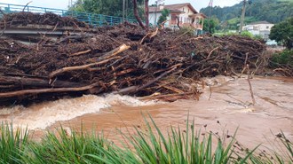 Na foto é possível ver um grande amontoado de galhos sob uma ponte e uma casa ao fundo.