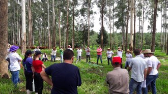 Foto: Arquivo do projeto Terra Solidária
