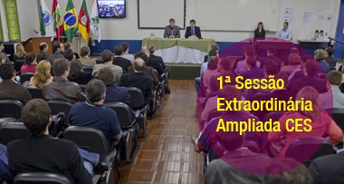 reunio_ampliada_CES.jpg
